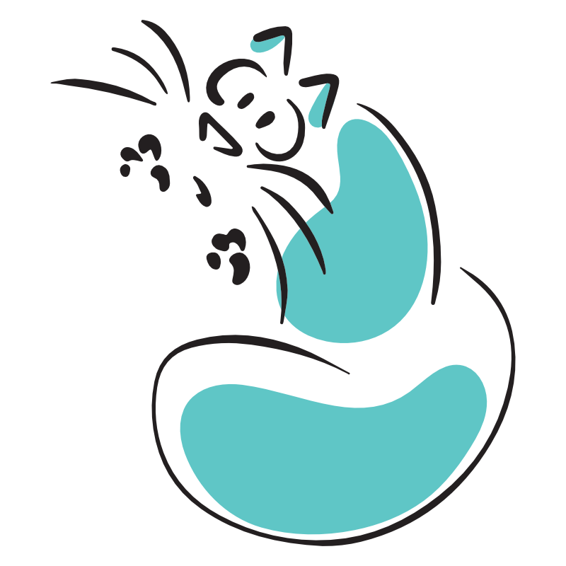 cat1