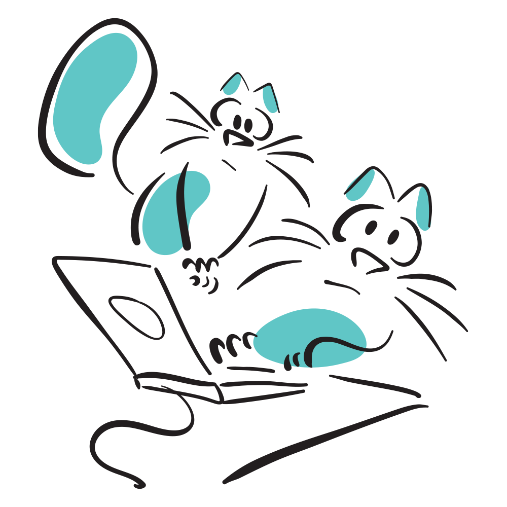 cat2
