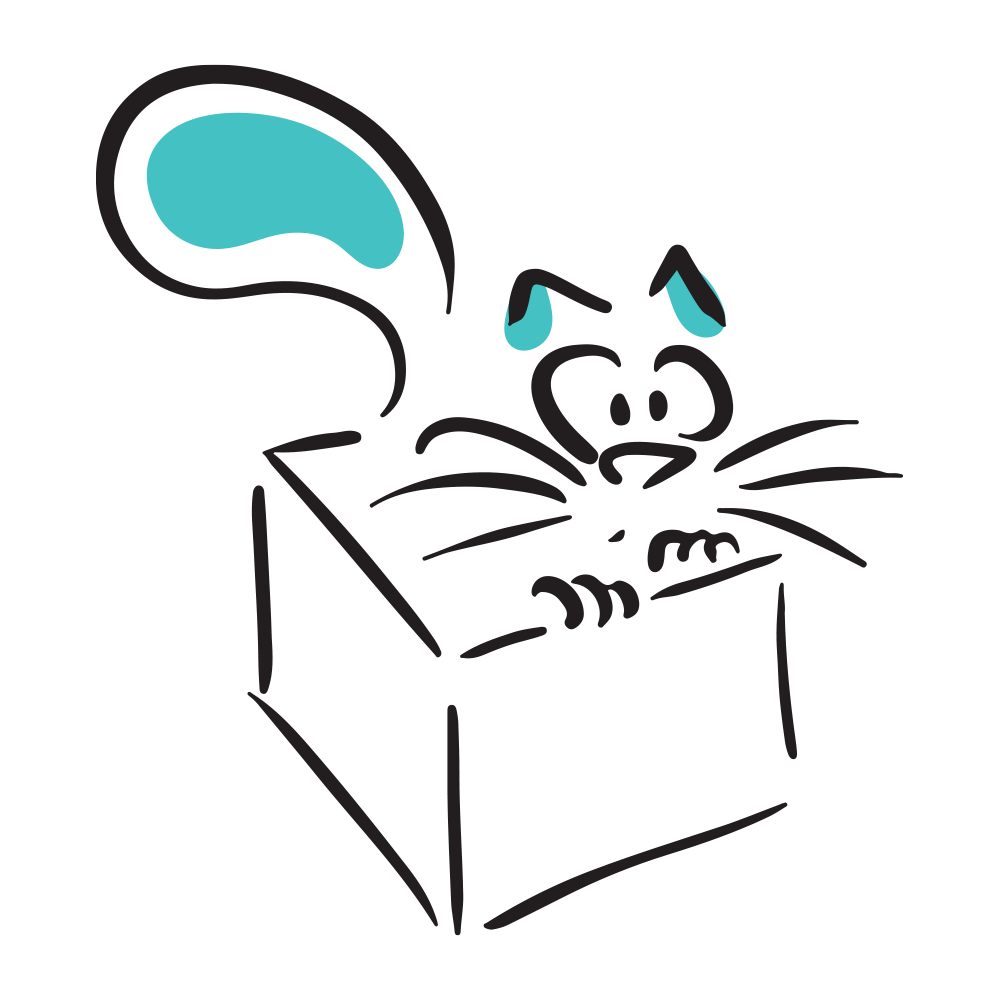 cat1